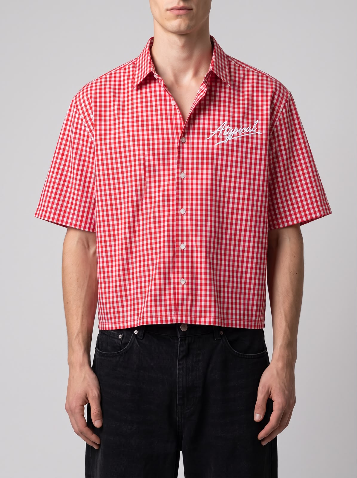 Redshift Gingham Check Shirt