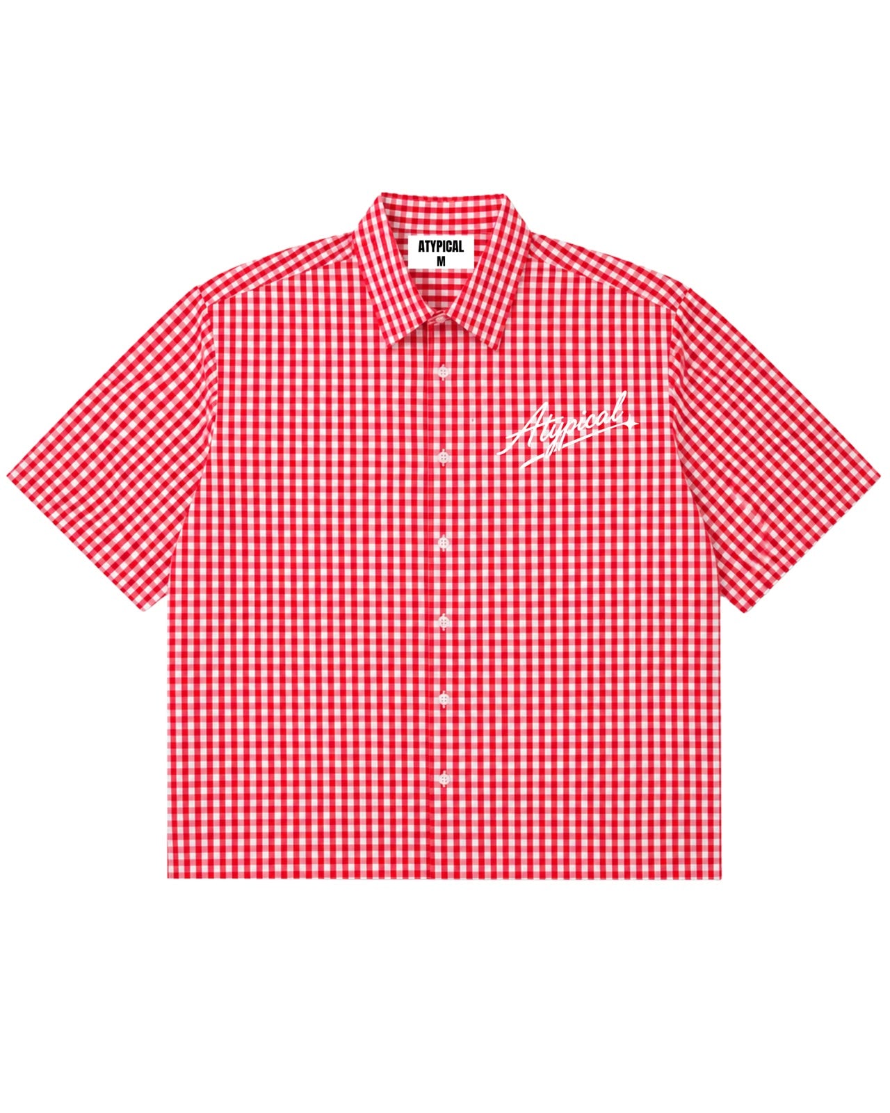Redshift Gingham Check Shirt