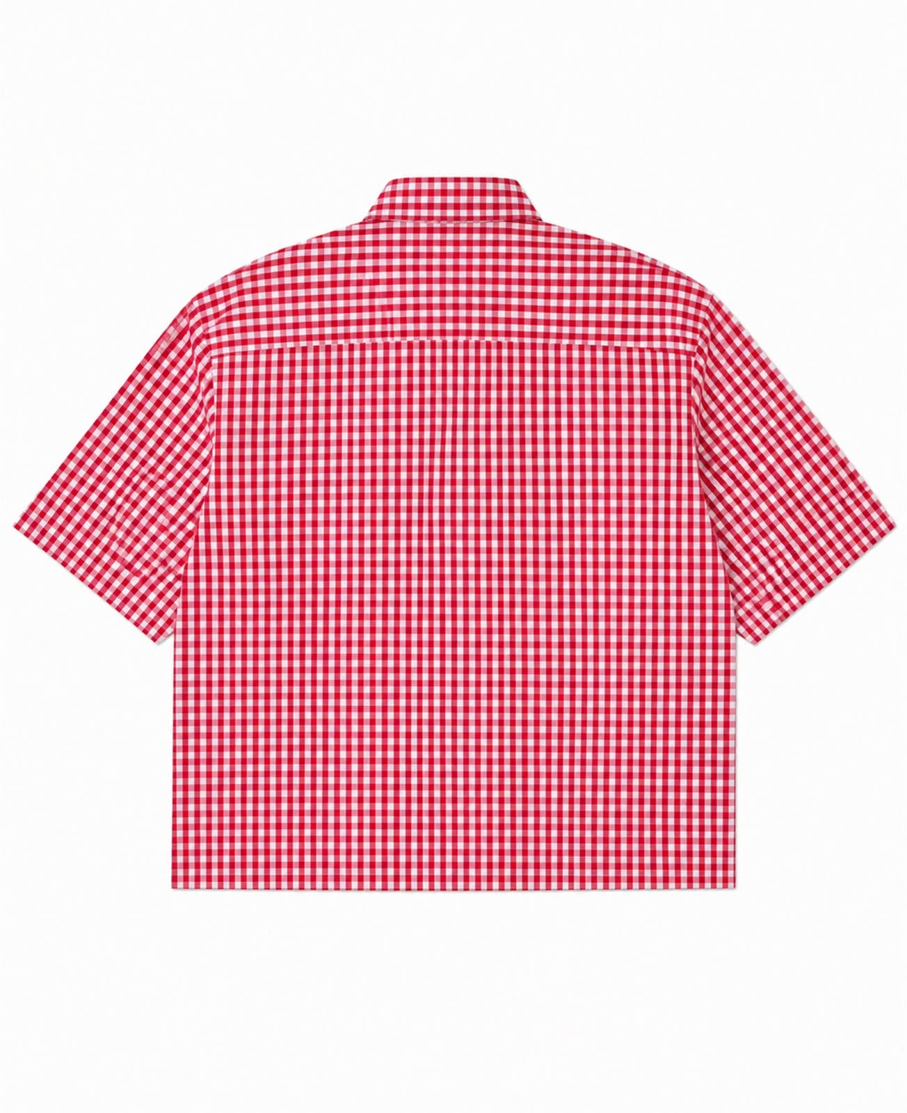 Redshift Gingham Check Shirt